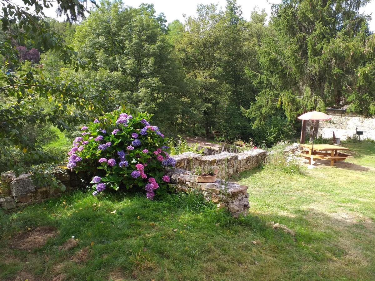 Gite Moulin De Ludieras Busserolles Exterior foto